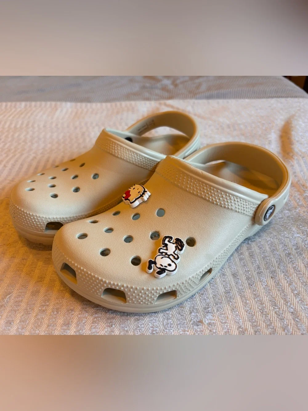 Crocs Kids Beige Clog with Fun Character Charms